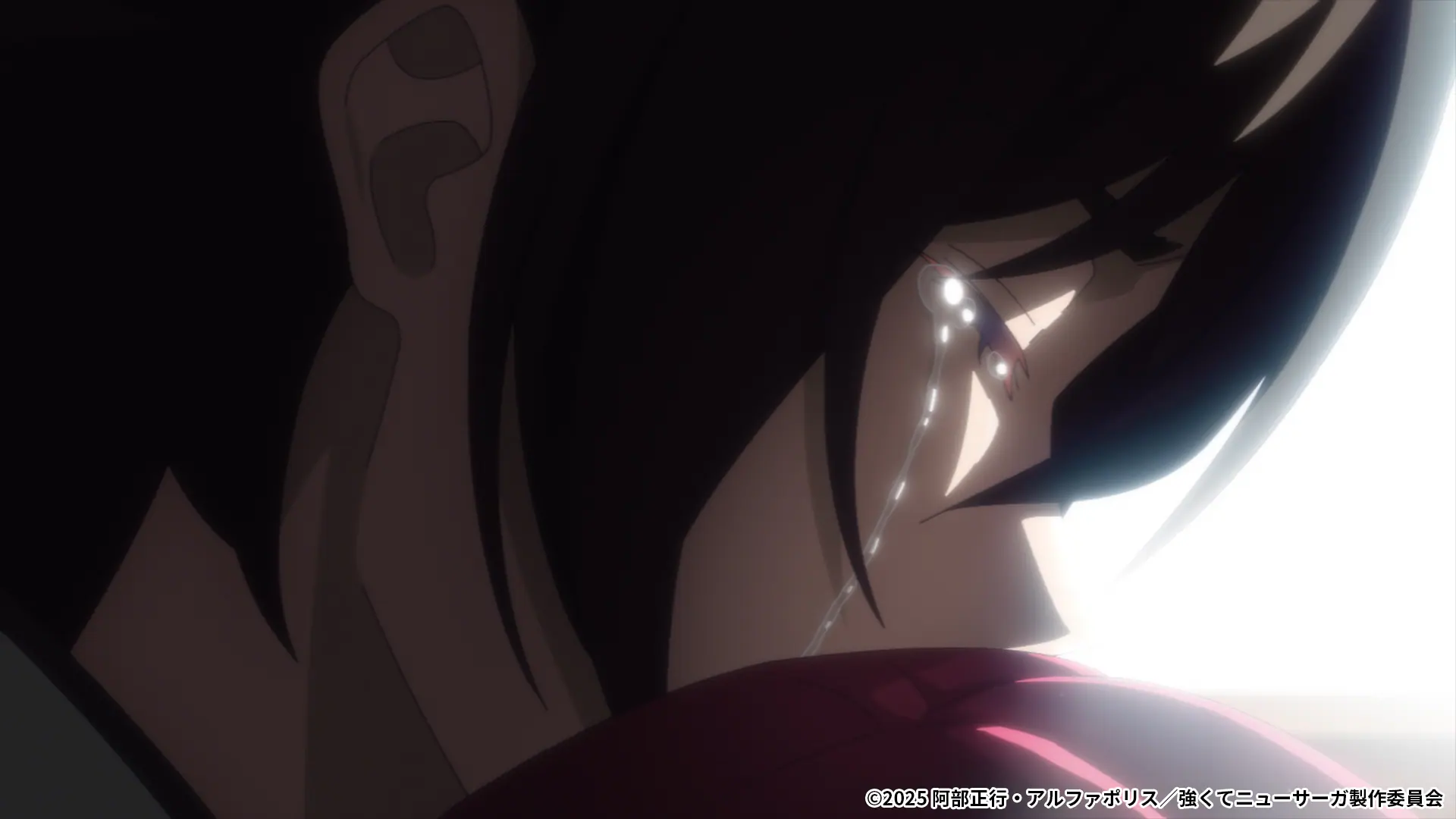 20250611saga1.jpg.webp