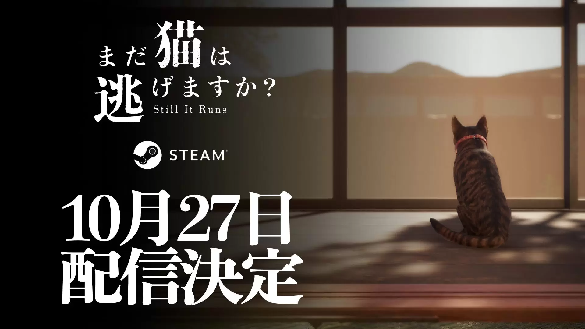 まだ猫は逃げますか？』10月27日に発売決定！ 背筋がシナリオを