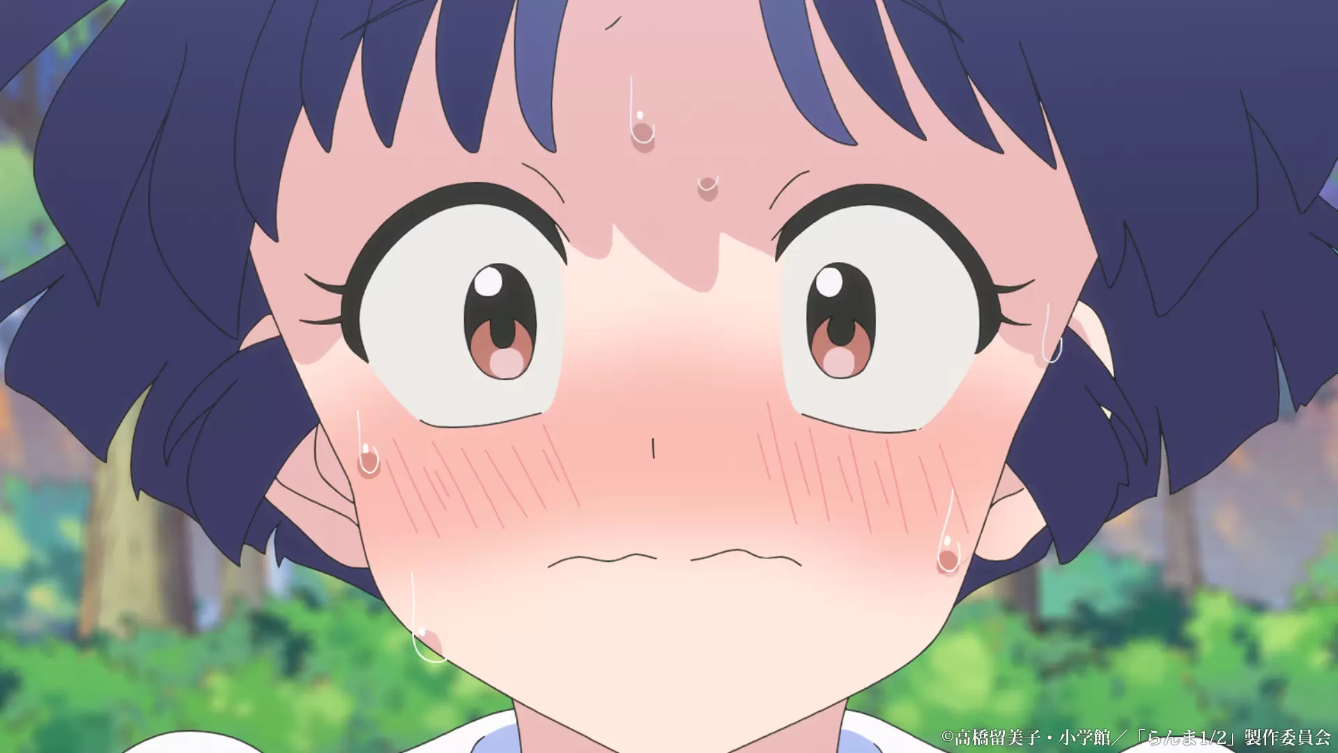 らんま1/2 女乱馬 早乙女乱馬 青ドレス 105話 セル画 動画 らんま1/2 女乱馬 早乙女乱馬 青ドレス 105話 セル画 動画