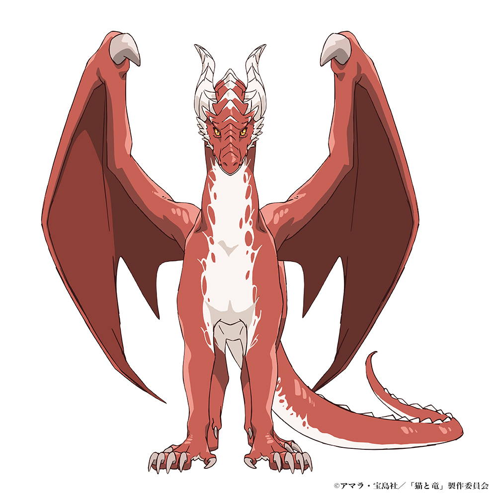 TVアニメ『猫と竜』2026年7月より放送開始！ ティザービジュアル