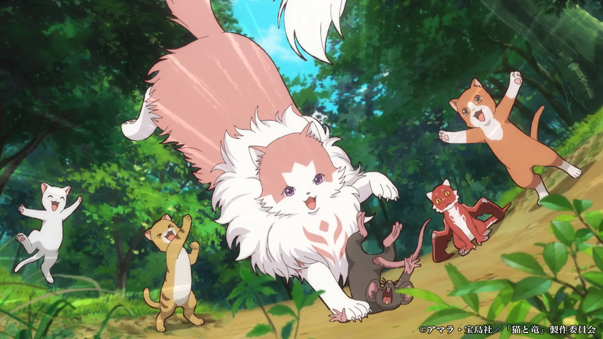 TVアニメ『猫と竜』ピックアップキービジュアル＆PV「～竜と猫～」が