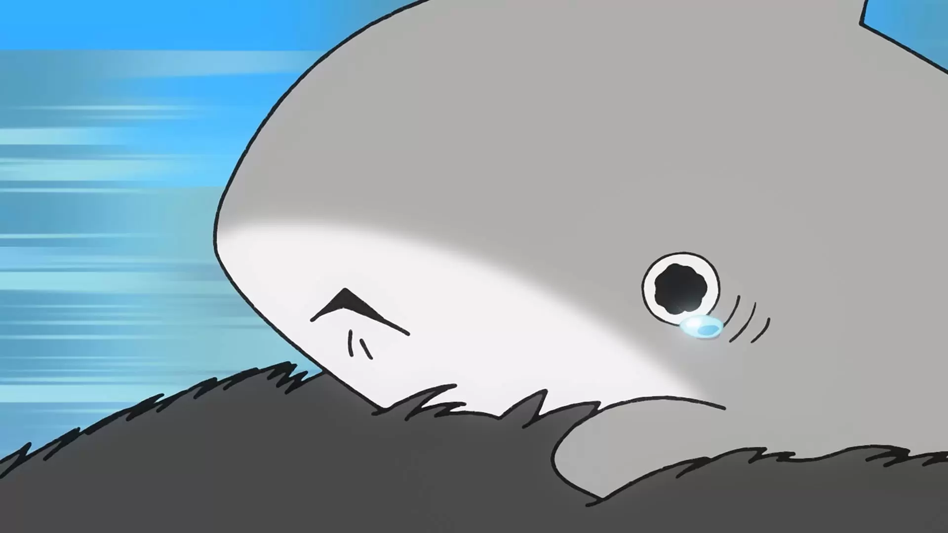 アニメ『おでかけ子ザメ』シーズン2、第4話のあらすじ公開！ 途方に