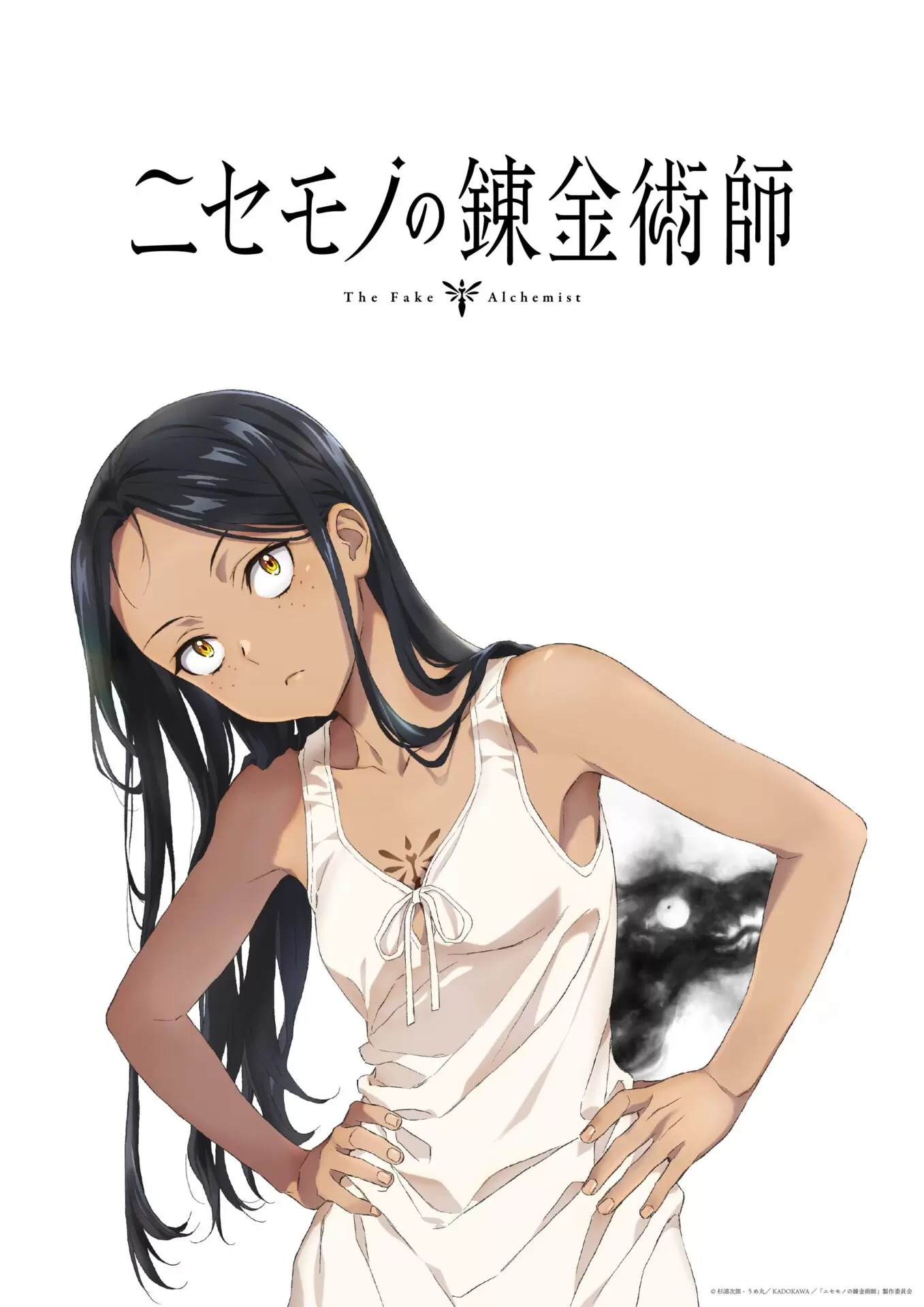 ニセモノの錬金術師』TVアニメ化が決定！ 転生者のパラケルススが 
