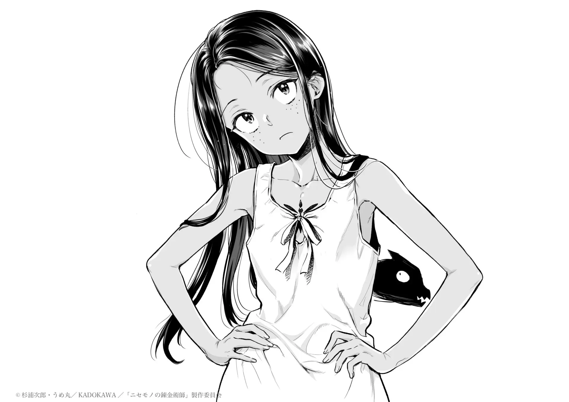 ニセモノの錬金術師』TVアニメ化が決定！ 転生者のパラケルススが