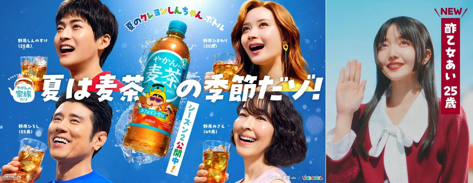 活動歴および当時の関連ビジュアル記録