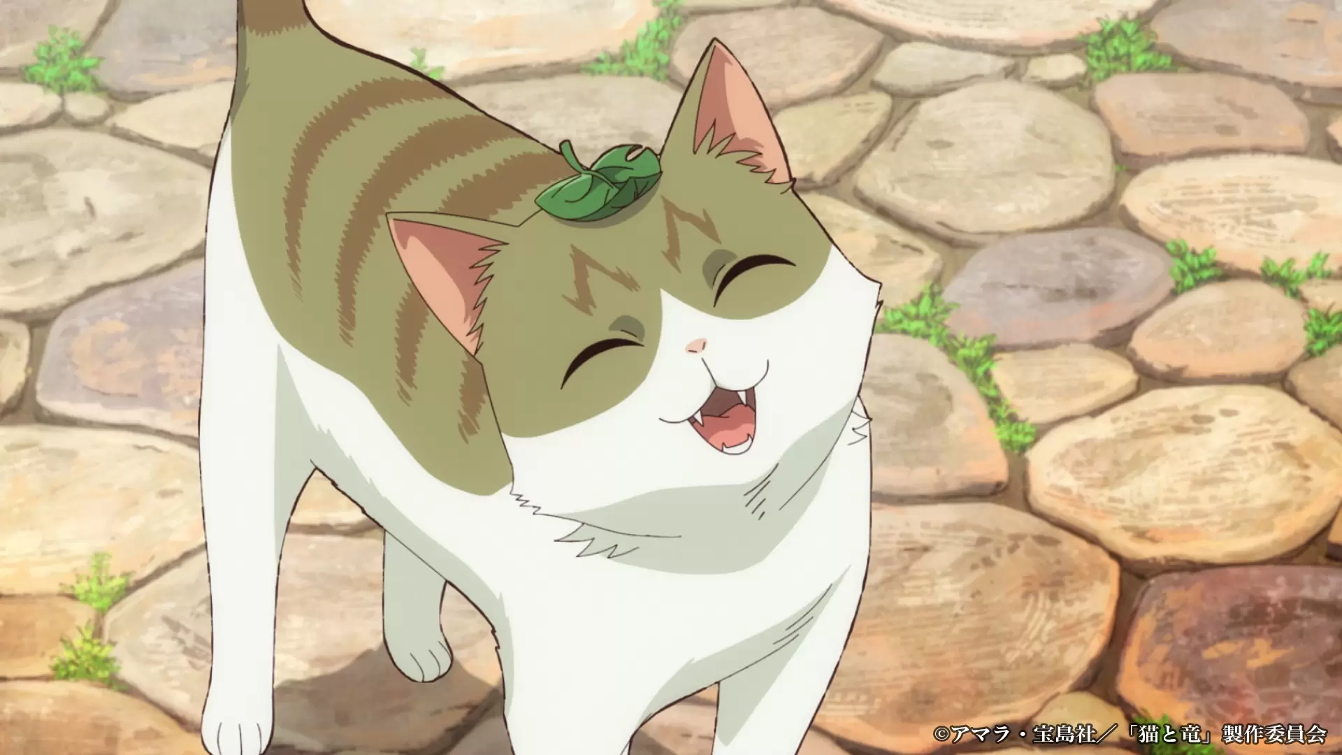 TVアニメ『猫と竜』7月4日より放送開始！ 第1弾PVも公開、映像内で追加