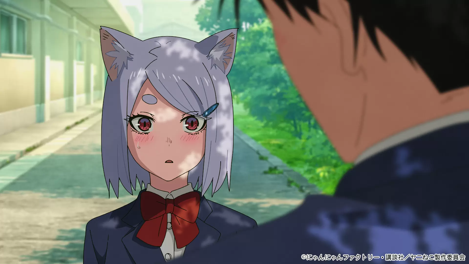 菌と鉄』TVアニメ化が決定！ 人類が“菌類”によって支配されている管理