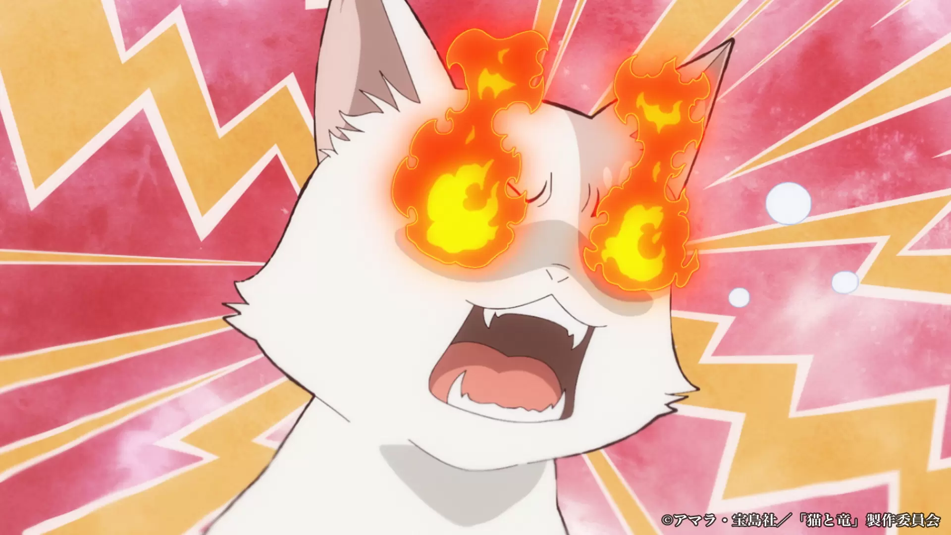 猫と竜』TVアニメ化が決定！ 猫竜をはじめとするキャラクターたちが