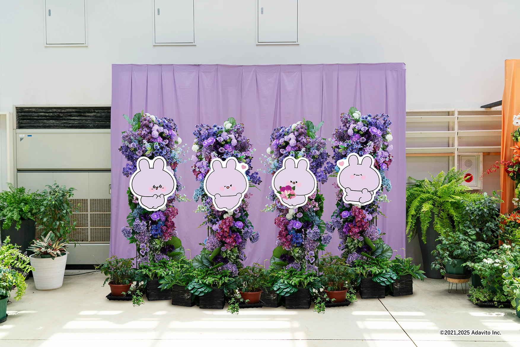 HANA・BIYORI コラボフォトスポット