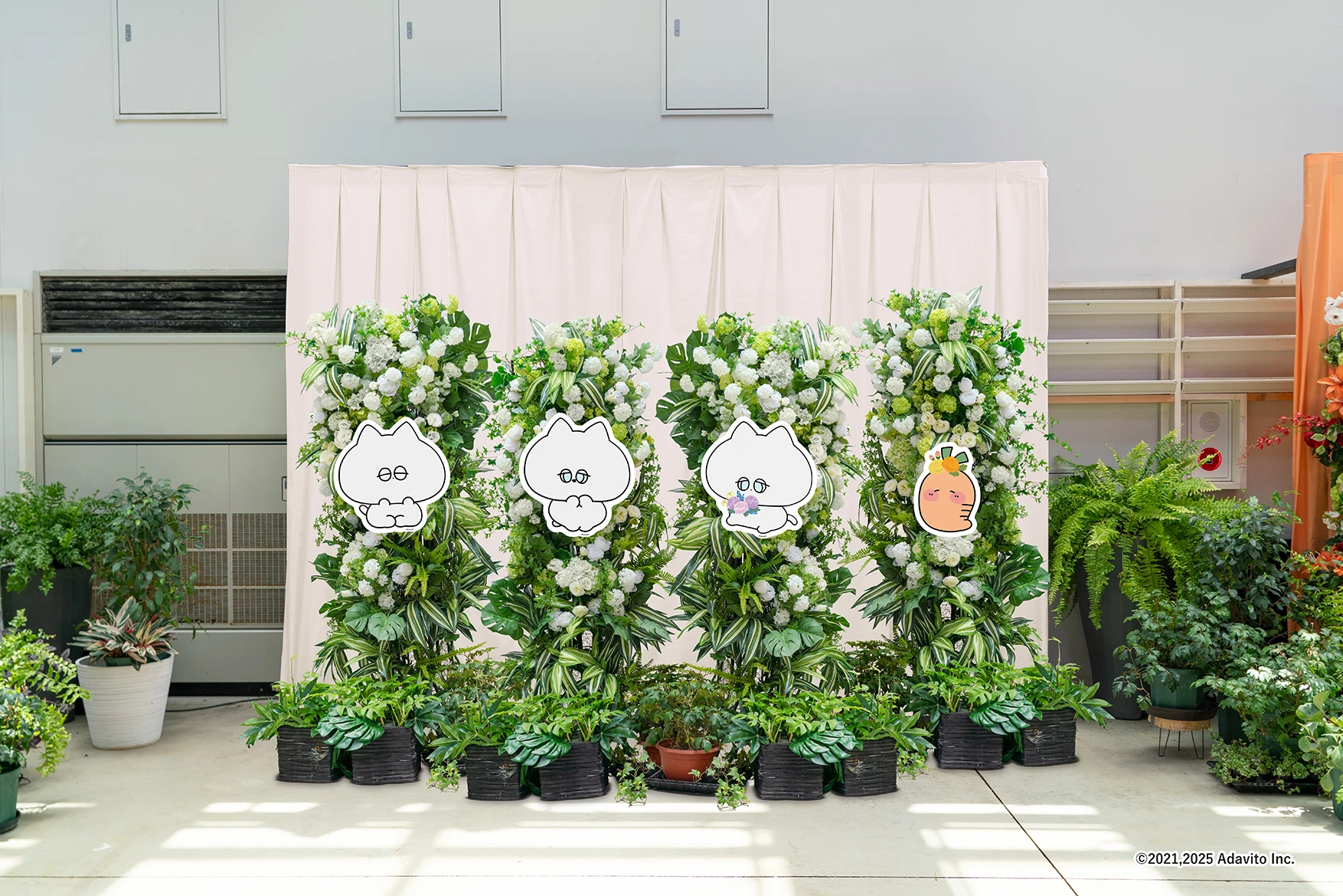 HANA・BIYORI コラボフォトスポット