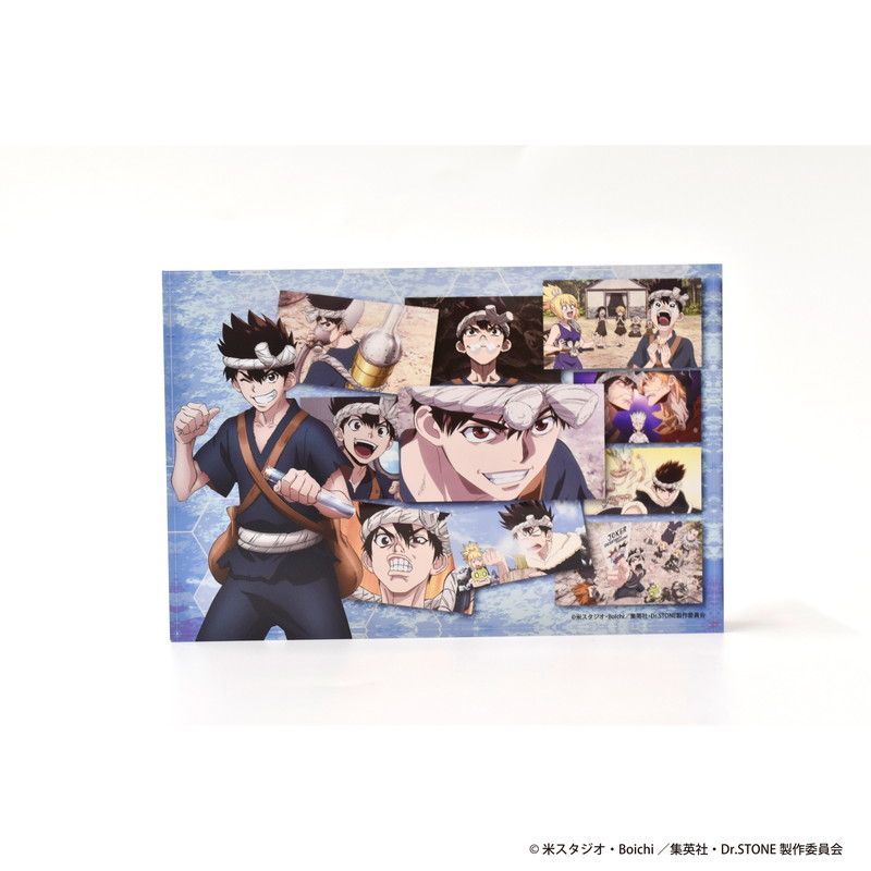 メモリーブロック「Dr.STONE」02/クロム(場面写イラスト)