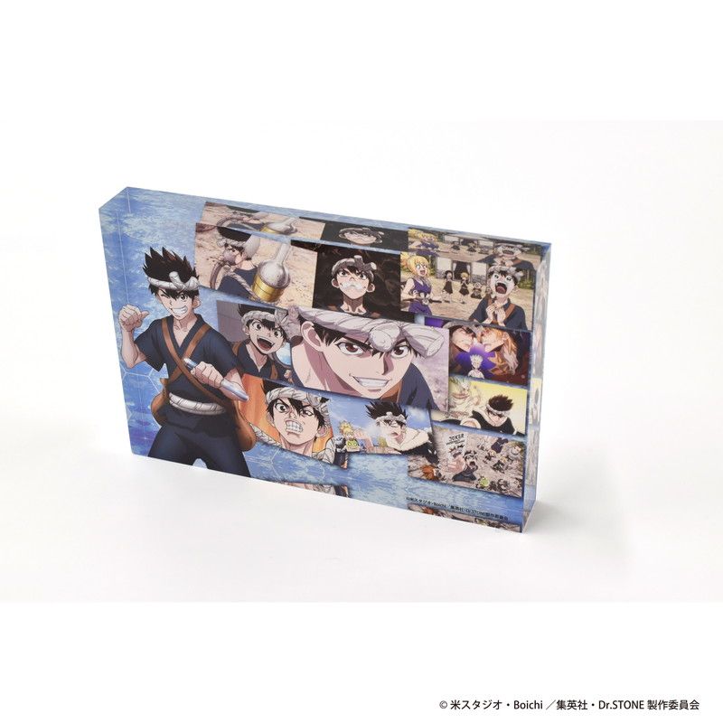 メモリーブロック「Dr.STONE」02/クロム(場面写イラスト)