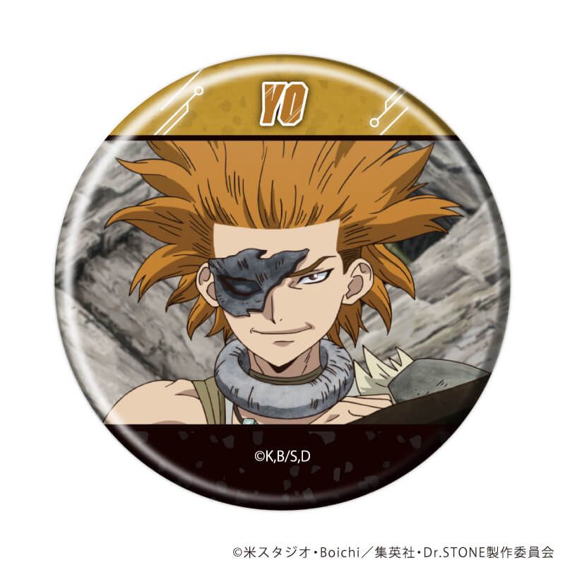 缶バッジ「Dr.STONE」37/コンプリートセット(全13種)(場面写イラスト)