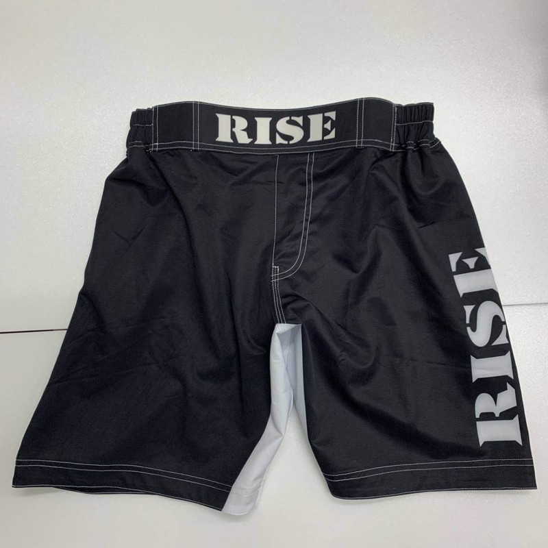 【RISE】［新商品］ファイトショーツ(L)
