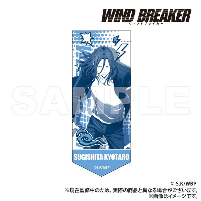 WIND BREAKER_ミニガーランドキーホルダー 杉下