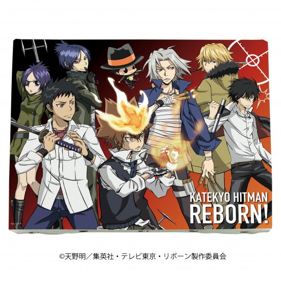 家庭教師ヒットマンreborn キャンバスアート 家庭教師ヒットマン Reborn 02 ボンゴレ アニメ キャラクターグッズの通販なら Eeo Store