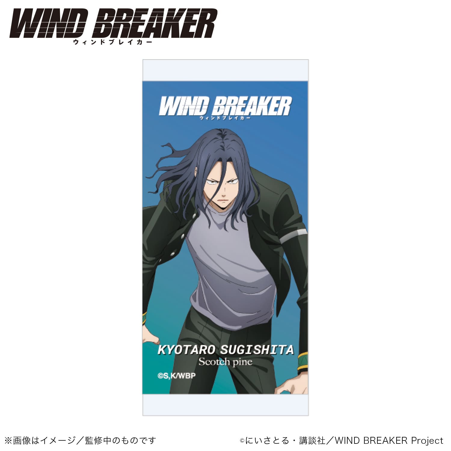 WIND BREAKER_アロマオイル_杉下 京太郎_(スコッチパイン)