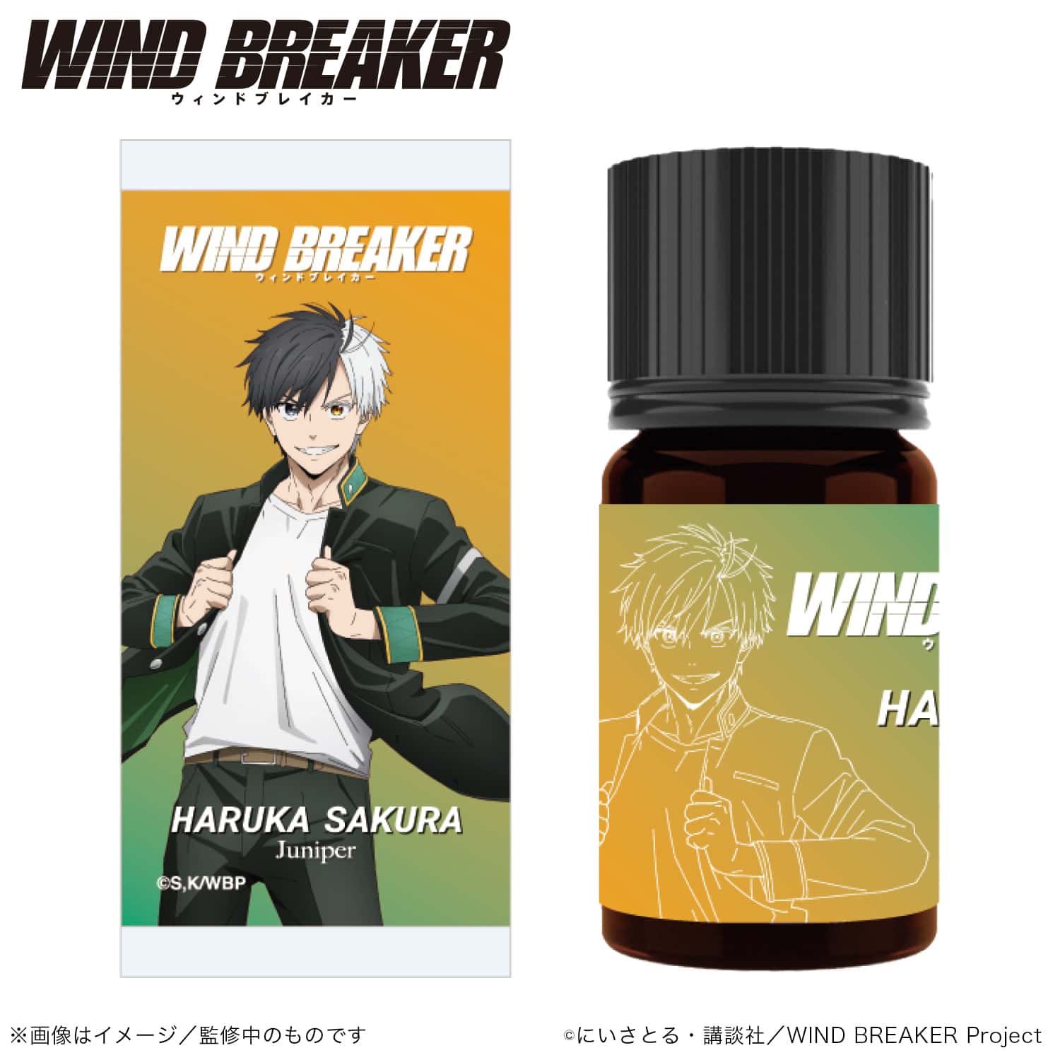 WIND BREAKER トレーディングジュエリー缶バッジ 第二弾｜アニメ 