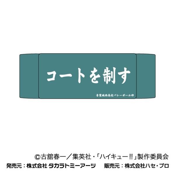 ヘアバンド ハイキュー!! 02 青葉城西高校