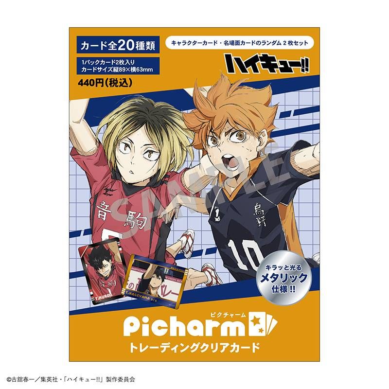 ハイキュー!! Picharm(2024年11月版)