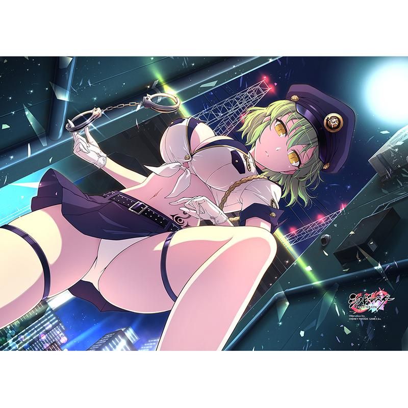 シノビマスター 閃乱カグラ NEW LINK B2タペストリー 日影/爆乳祭・参