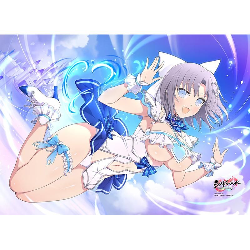 シノビマスター 閃乱カグラ NEW LINK B2タペストリー 雪泉/新乳祭・弐