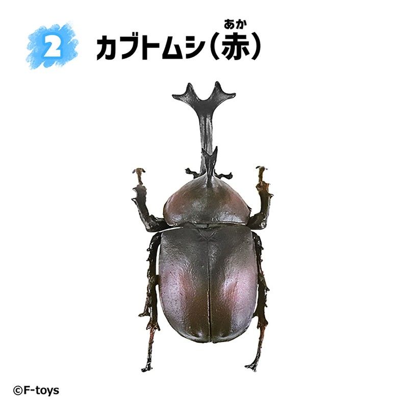 【食玩】昆虫ハンター カブトムシ×クワガタ(2023年6月版)