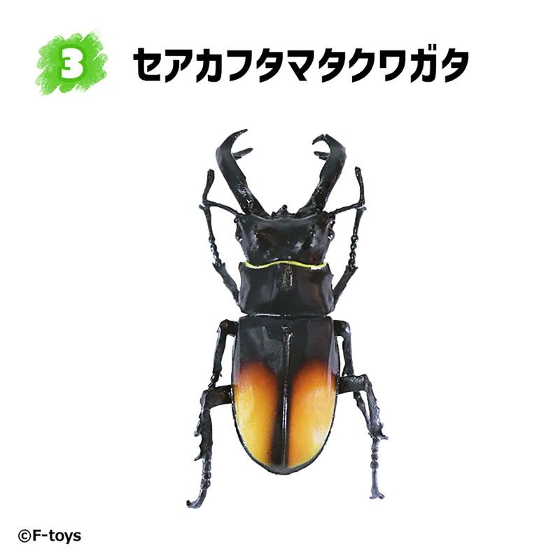 【食玩】昆虫ハンター カブトムシ×クワガタ(2023年6月版)