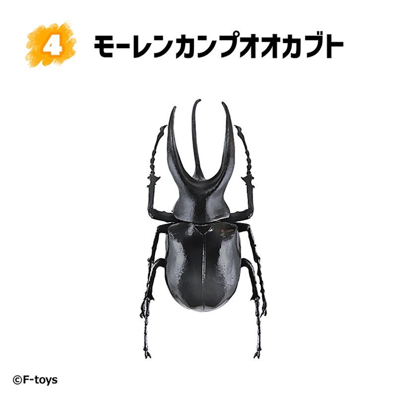 【食玩】昆虫ハンター カブトムシ×クワガタ(2023年6月版)