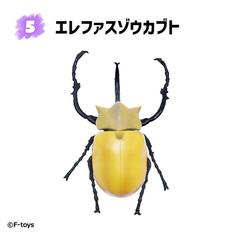 【食玩】昆虫ハンター カブトムシ×クワガタ(2023年6月版)