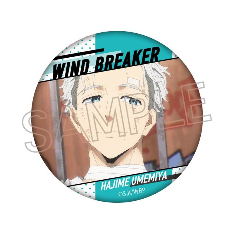 WIND BREAKER 百面相缶バッジ Vol.2