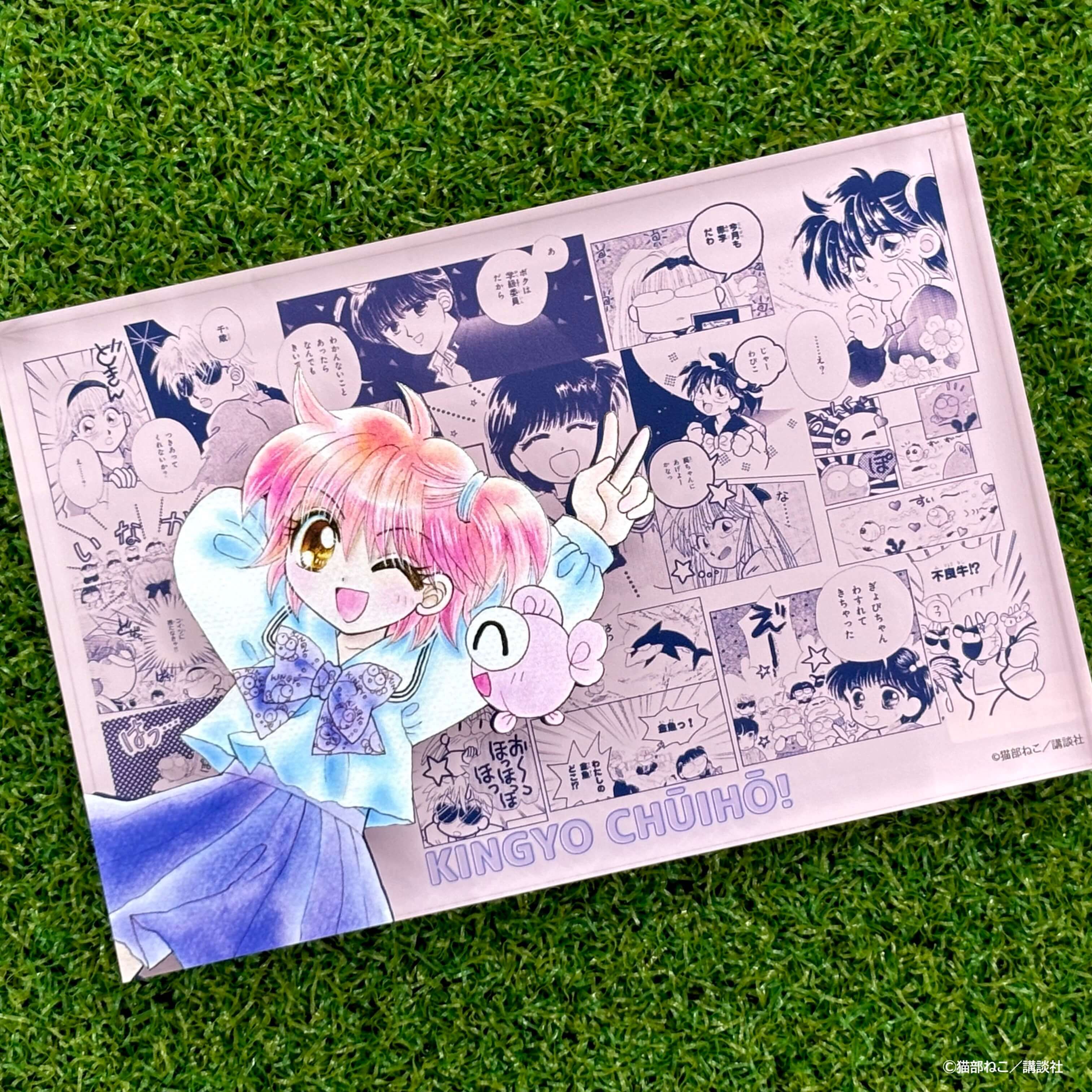 メモリーブロック「きんぎょ注意報！」01/集合デザイン(公式イラスト)