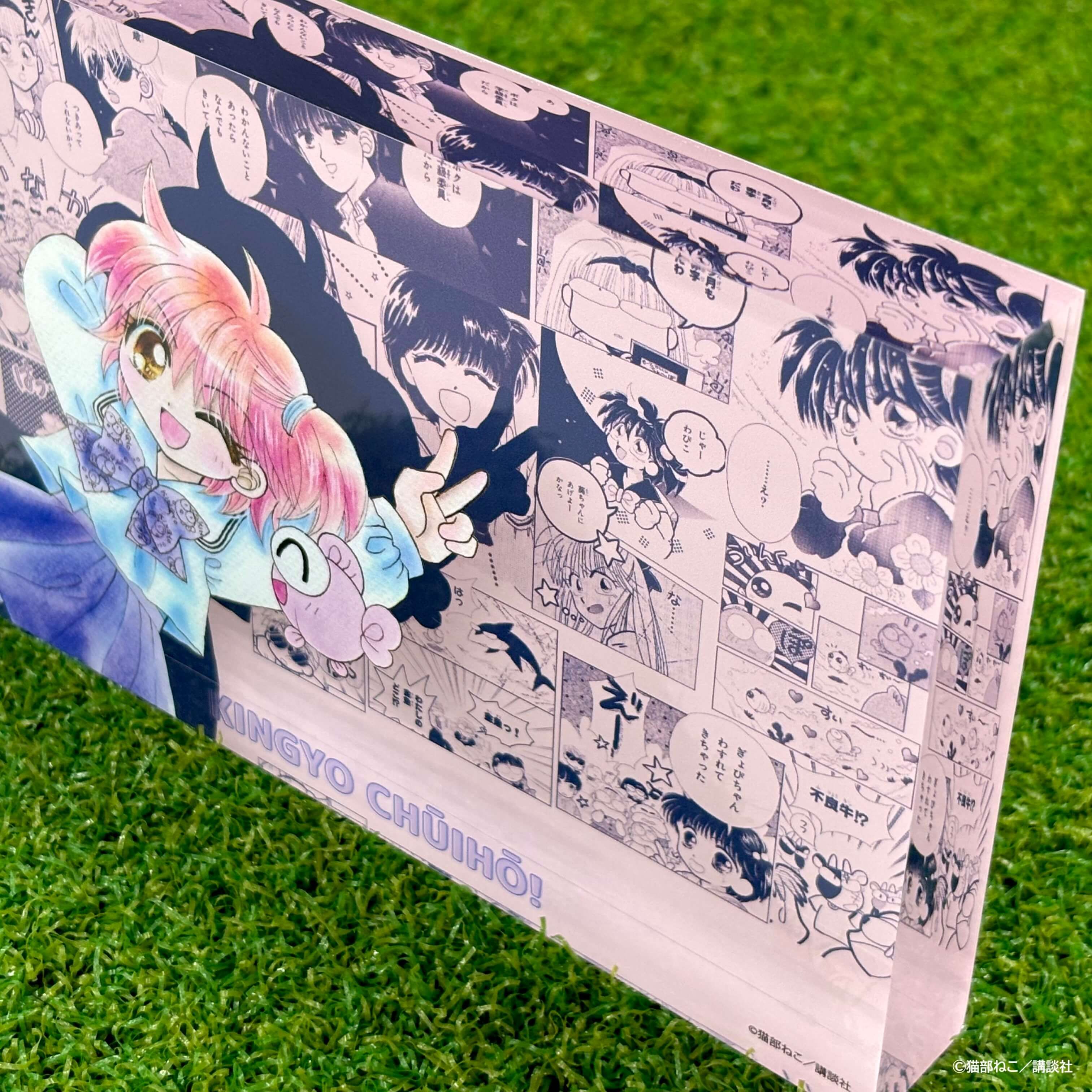 メモリーブロック「きんぎょ注意報！」01/集合デザイン(公式イラスト)