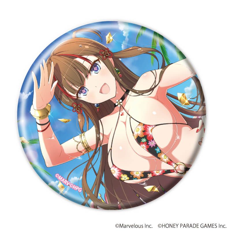 缶バッジ「シノビマスター 閃乱カグラ NEW LINK」03/BOX2 コンプリートBOX(全6種)(公式イラスト)