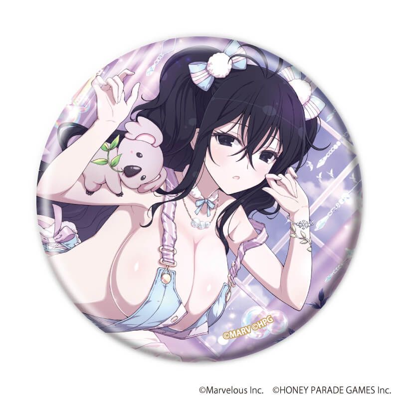 缶バッジ「シノビマスター 閃乱カグラ NEW LINK」03/BOX2 コンプリートBOX(全6種)(公式イラスト)