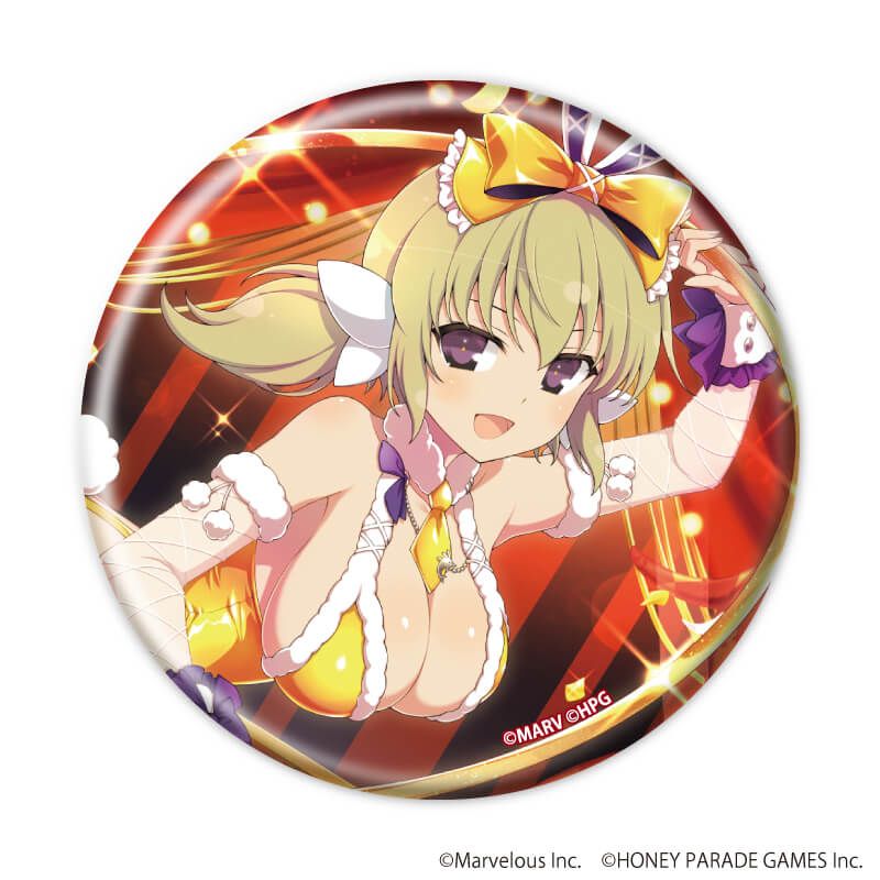 缶バッジ「シノビマスター 閃乱カグラ NEW LINK」02/BOX1 コンプリートBOX(全6種)(公式イラスト)