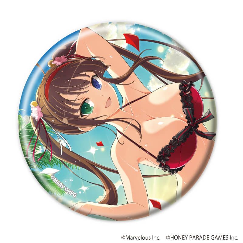 缶バッジ「シノビマスター 閃乱カグラ NEW LINK」03/BOX2 ブラインド(6種)(公式イラスト)