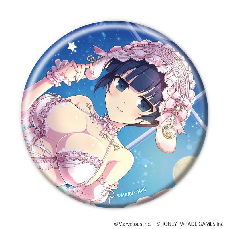 缶バッジ「シノビマスター 閃乱カグラ NEW LINK」02/BOX1 ブラインド(6種)(公式イラスト)