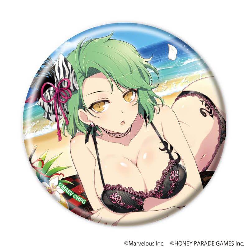 缶バッジ「シノビマスター 閃乱カグラ NEW LINK」02/BOX1 ブラインド(6種)(公式イラスト)