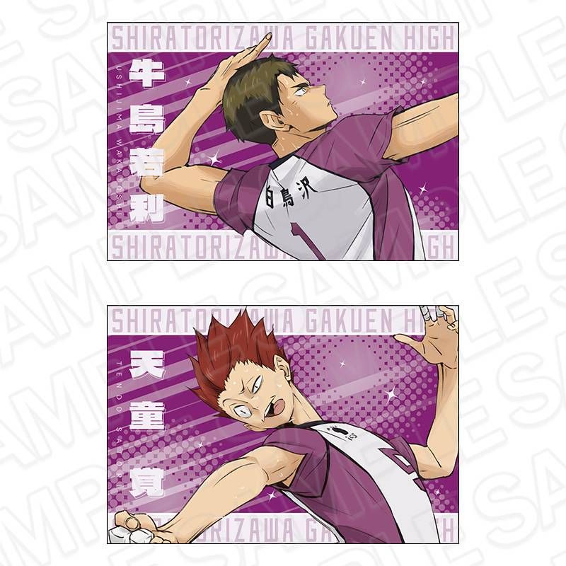 ハイキュー!! ポストカード2枚セット 白鳥沢学園高校｜アニメ