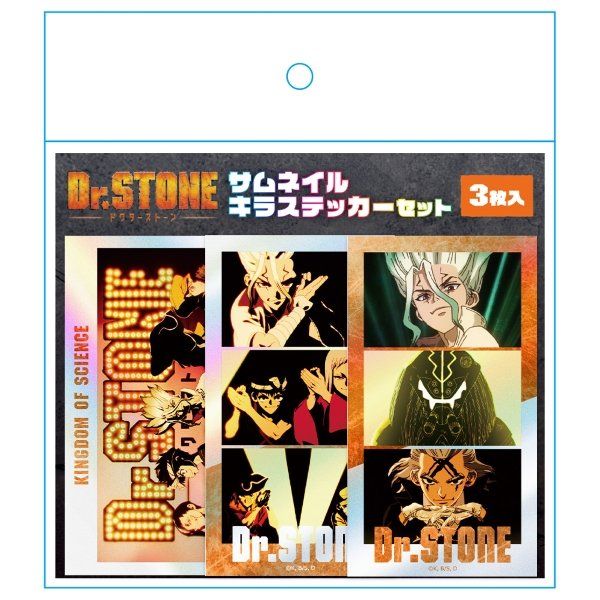 サイケアウツ8枚のCDとステッカーセット サイケアウツ8枚のCDとステッカーセット すみっコぐらし シール