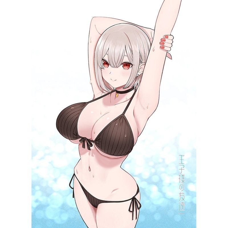 王子様の友達 B2タペストリー 藍田美明/水着 Wスエード