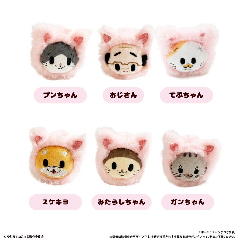 ねこに転生したおじさん はるにゃんこたぴぬい