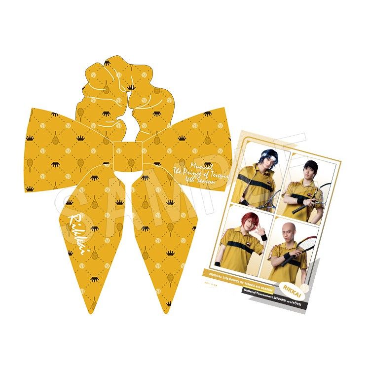 ミュージカル テニスの王子様 4thシーズン 全国大会 青学(せい