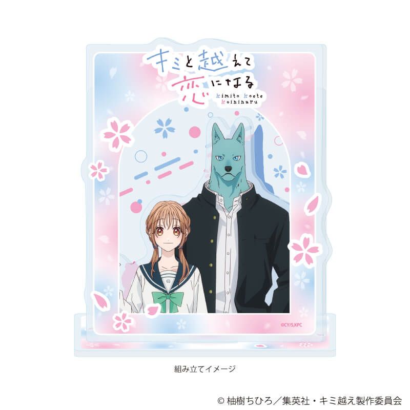 アクリルジオラマ「TVアニメ『キミと越えて恋になる』」01/朝霞 万理＆飛高 繋(公式イラスト)