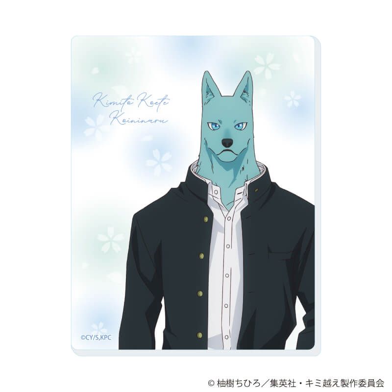 アクリルカード「TVアニメ『キミと越えて恋になる』」01/コンプリートセット(全6種)(公式イラスト)