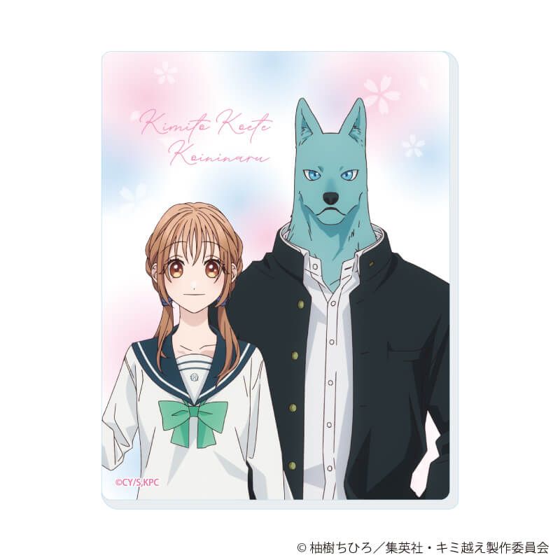 アクリルカード「TVアニメ『キミと越えて恋になる』」01/コンプリートセット(全6種)(公式イラスト)