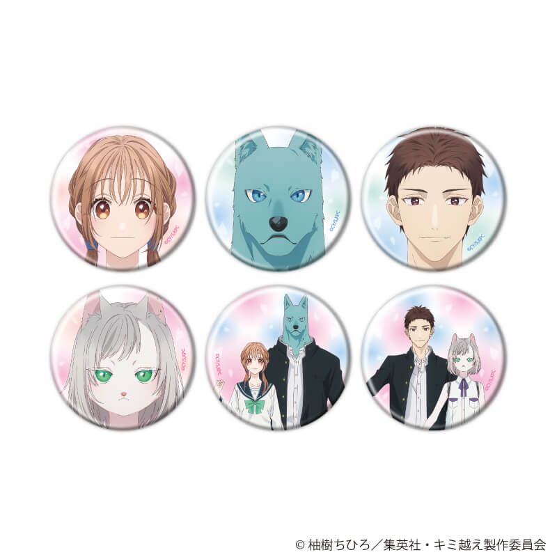 缶バッジ「TVアニメ『キミと越えて恋になる』」01/コンプリートセット(全6種)(公式イラスト)