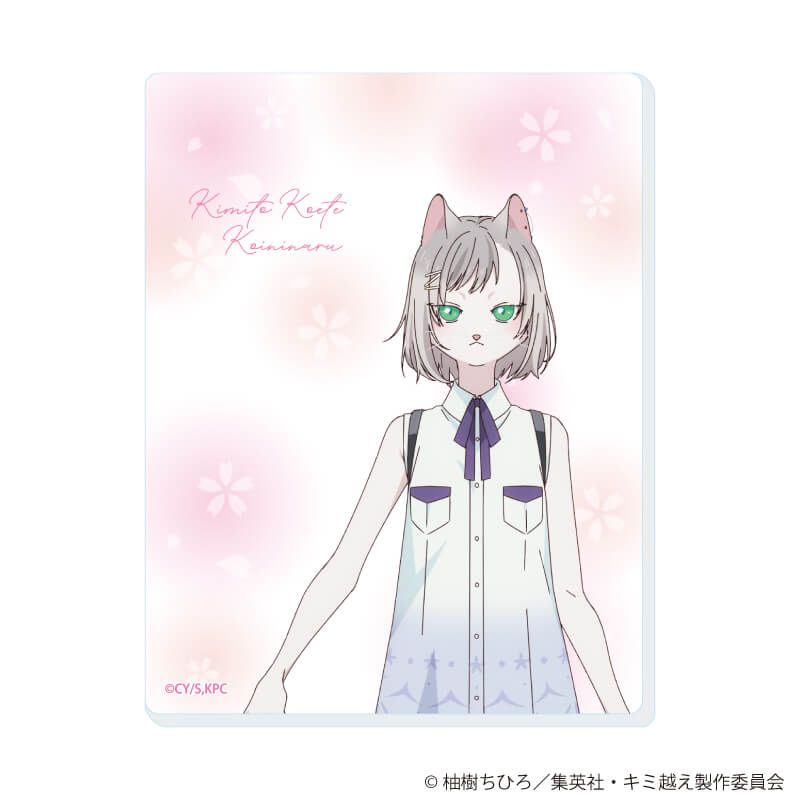 アクリルカード「TVアニメ『キミと越えて恋になる』」01/ブラインド(6種)(公式イラスト)