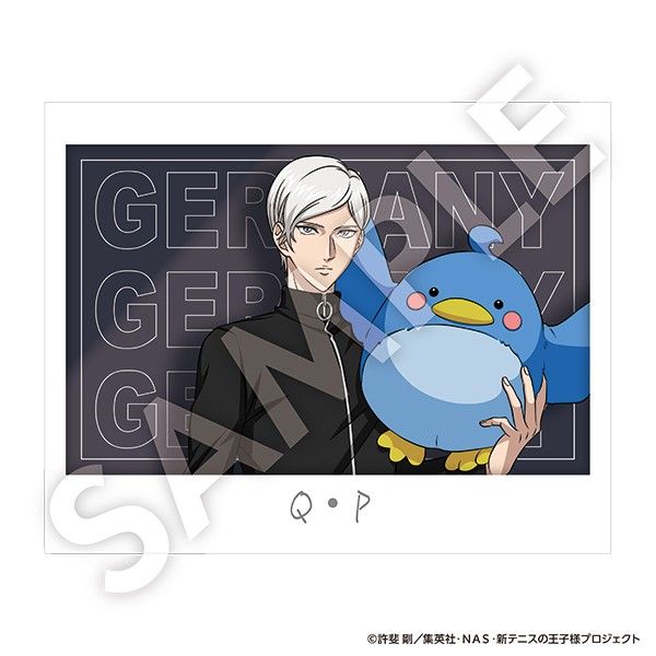 テニスの王子様 テレビシリーズ スナップ写真　コンプリート グッズ-カード】新テニスの王子様 スナップショット風カード【R1